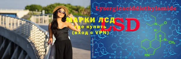 прущие грибы Армянск