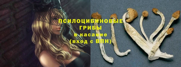 2c-b Аркадак
